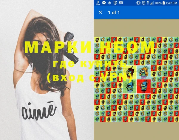 прущие грибы Алзамай