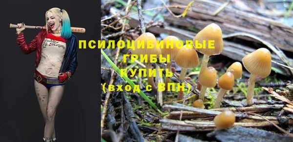не бодяженный Покачи