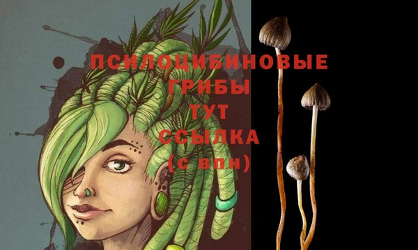 марки nbome Абаза